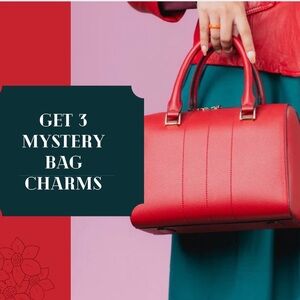 Mystery Bag Charms Set Of Three